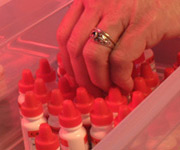 Intestines Inflammation