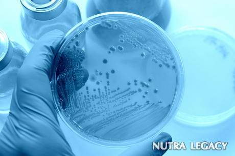 Natural Anti-Bacterial Agents