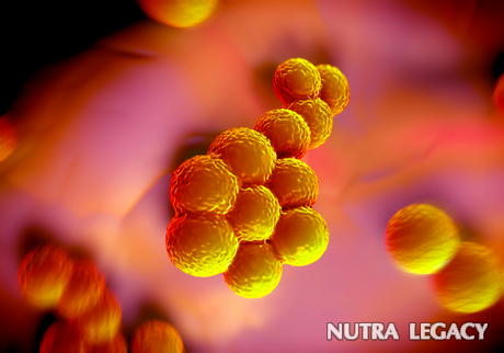 Antibiotic Resistant Superbugs