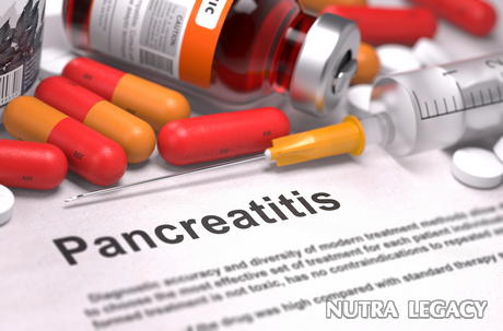 Pancreatitis And Diet - The 5 Most Important Changes You Need To Make