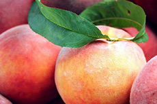 Antioxidants for Skin Care