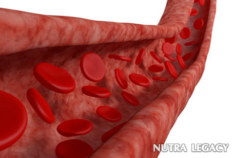 Blood Vessel Diseases