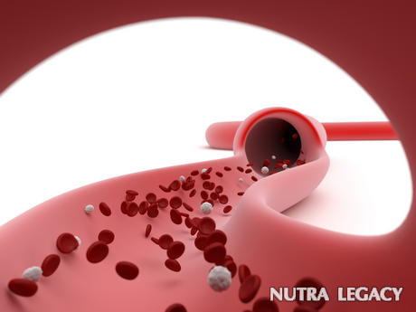 Broken Blood Vessels