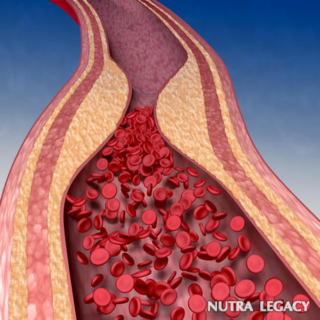 Thin Blood and Thick Blood