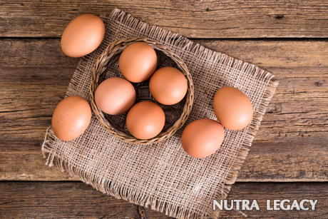 Why Eggs are the Best Source of Protein