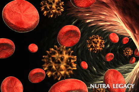 Build A Stronger Immune System