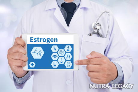 Increase Estrogen