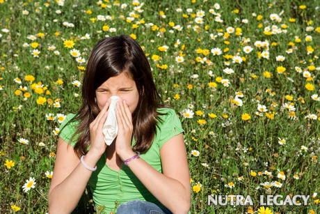 Allergies Or Sinusitis