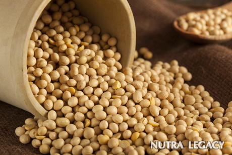 Is There A Link Between Soy And Breast Cancer
