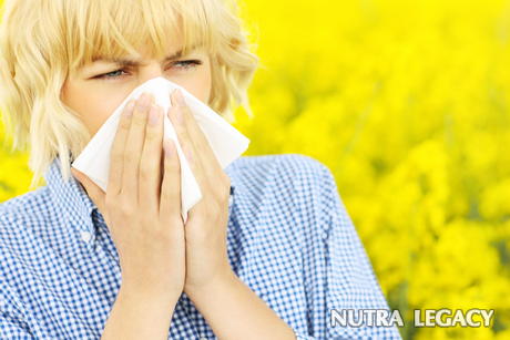 Stuffy Nose Stuffy Nose