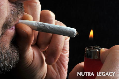 Smoking Damages Your Lungs Smoking Damages Your Lungs