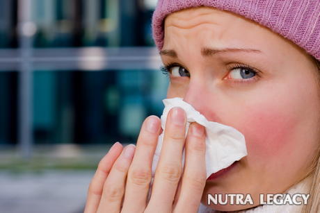 Bird Flu Cases United States