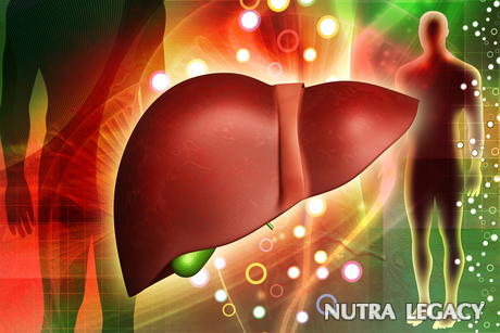 Liver Health Facts