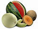 Melons