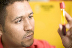 What are Normal Cholesterol Levels