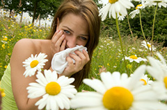 Herb Remedies for Pain