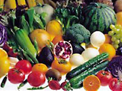 Prevent Osteoporosis