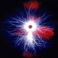 Improve Immune System