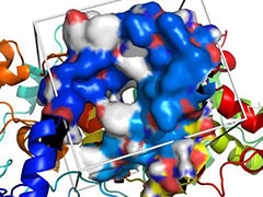 Types of Painkillers