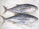 Tuna